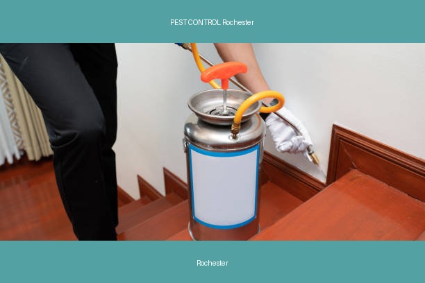PEST CONTROL Rochester